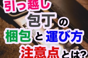引越しの際のゲーム機はどうする ゲーム機の梱包や処分の方法とは 引越しマニア 引越しに悩む人が結局たどり着く情報サイト