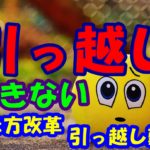 引っ越し難民必見!究極の裏技公開!!できないを可能にするには?