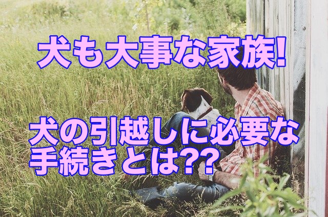 ペットも大事な家族の一員 犬の引越しに必要な手続きとは 引越しマニア 引越しに悩む人が結局たどり着く情報サイト