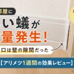 部屋に黒い蟻が大量発生!侵入口は壁の隙間だった【アリメツ1週間の効果レビュー】
